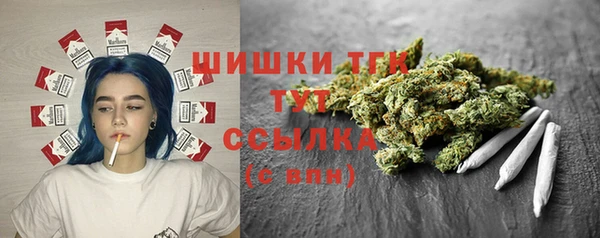 крисы Гусь-Хрустальный