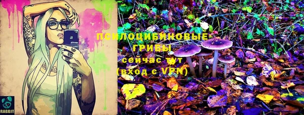 крисы Гусь-Хрустальный