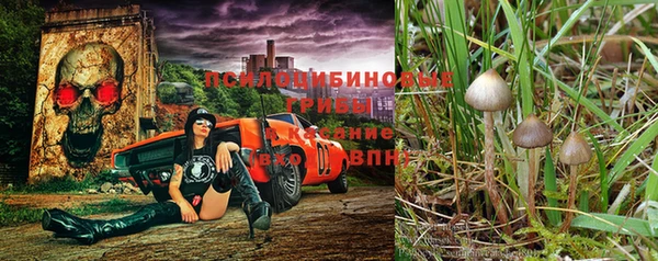 спайс Гусиноозёрск
