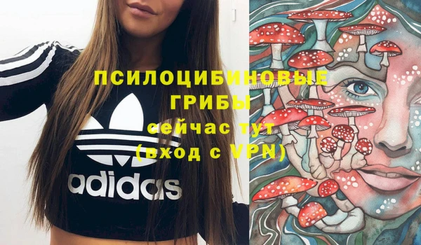 спайс Гусиноозёрск