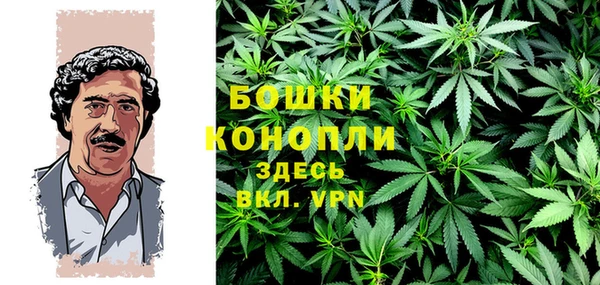 крисы Гусь-Хрустальный