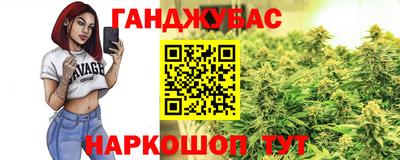 гидра Тверь