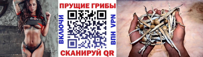 Галлюциногенные грибы Cubensis  Салават 